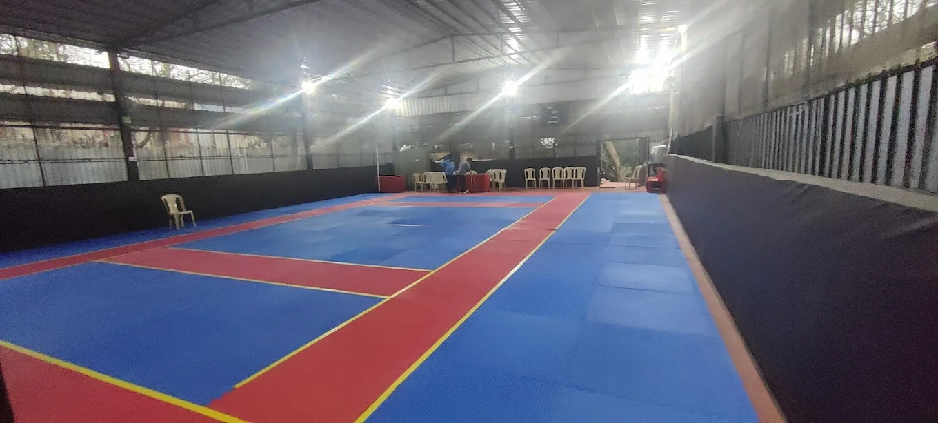 Kabaddi mats — supplied service image