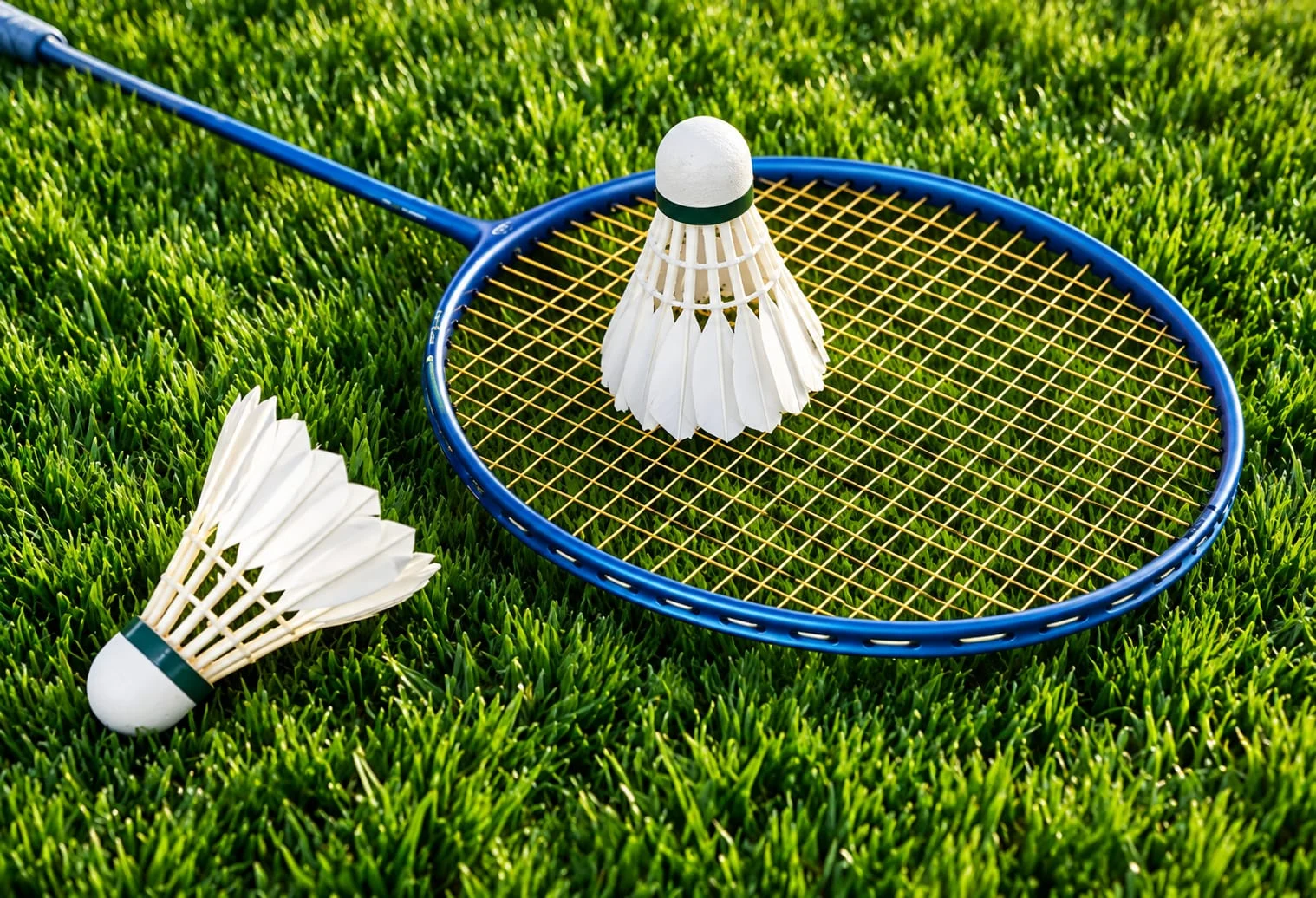 Badminton equipment — sports illustration